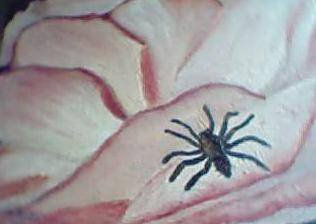 ARAÑA SOBRE UNA  ROSA Oil Canvas Floral Painting