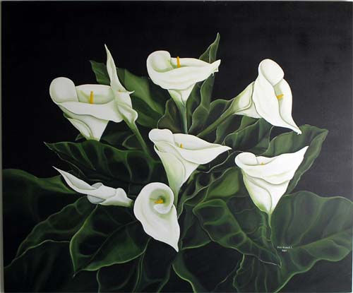 Alcatraces en Fondo Negro Oil Canvas Floral Painting