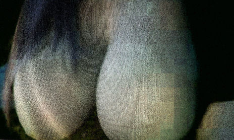desnudos