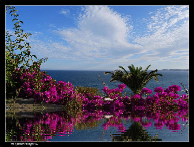 Mediterráneo Nature Color (Digital)