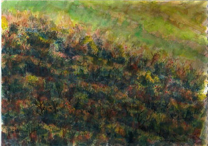 Primavera agreste
