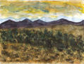 Altiplano 5