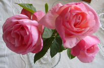 Tres  rosas