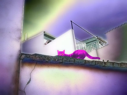 Where is the mouse?
