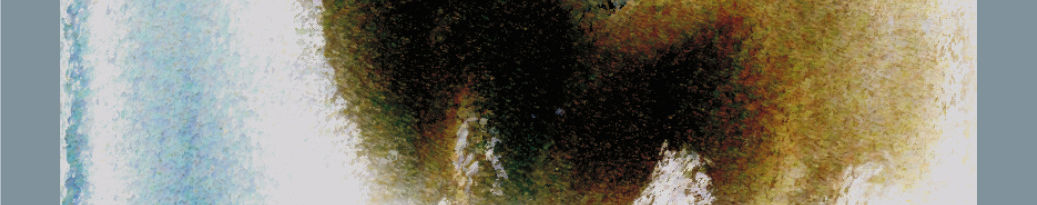 Imagen de portada