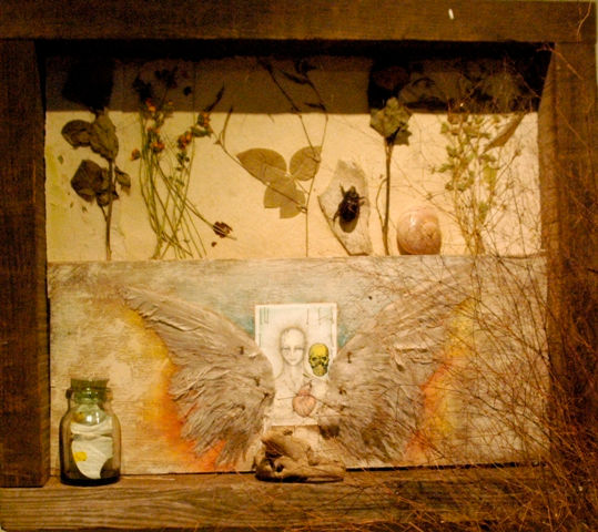 caja de la paloma Panel Still Life