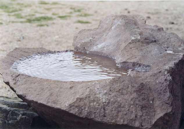 Agua de lluvia Naturaleza Técnicas alternativas