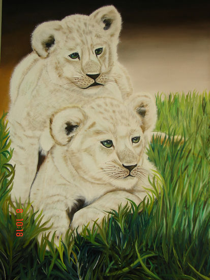 FELINOS Oil Canvas Animals