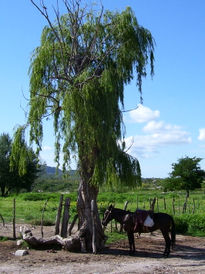 Tomando un descanso