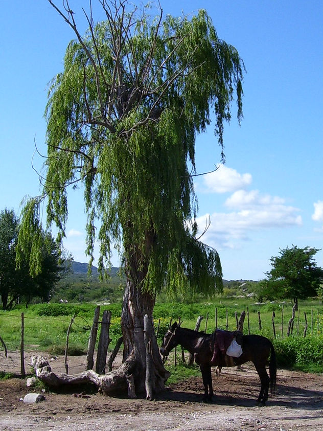 tomando un descanso