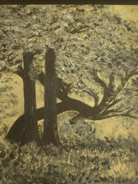 EL VIEJO ARBOL