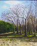 -358 Bosque y playa