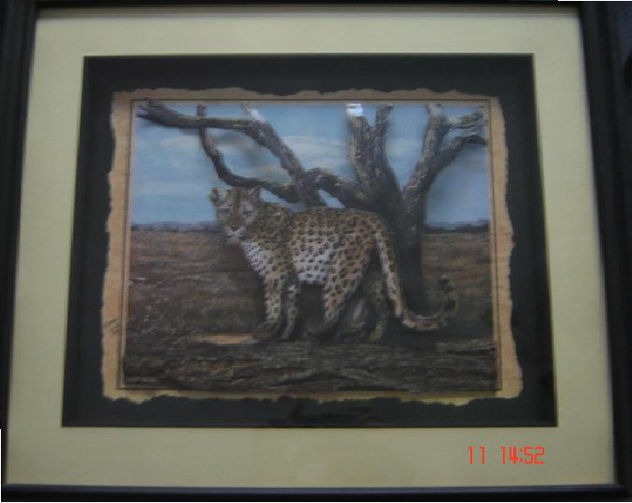 En la selva