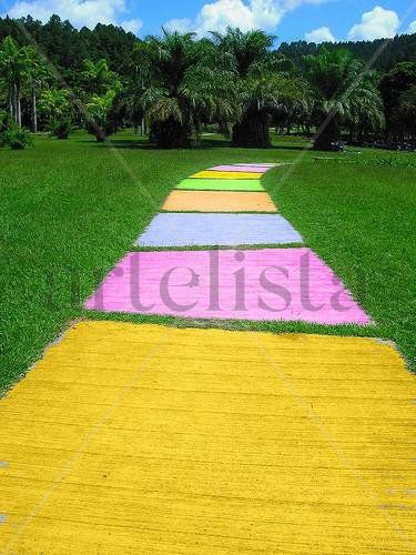 Camino de colores