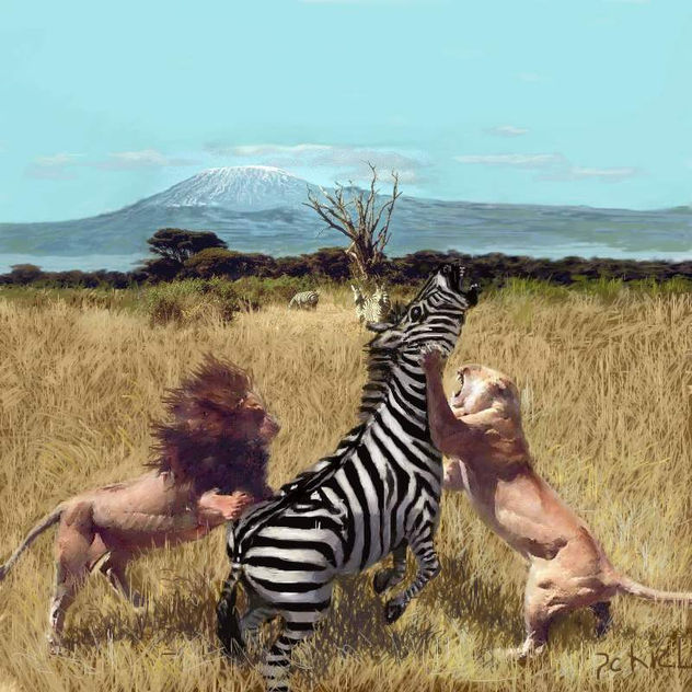 kilimanjaro
