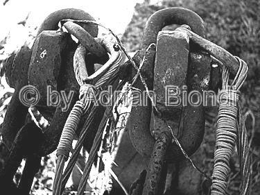 Metales