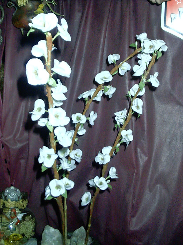 flores