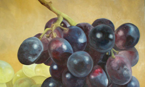 Flores y Frutas