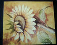 girasol
