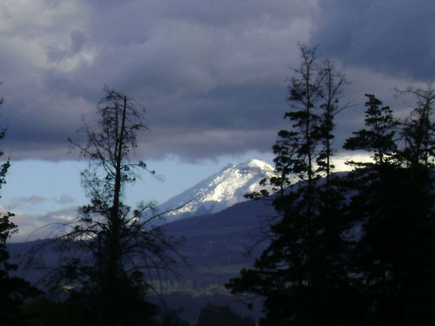 El Cotopaxi Arquitectura e interiorismo Blanco y Negro (Digital)