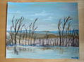 arbres hivern 2