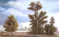 tormenta