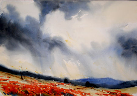 tormrnta sobre campo de amapolas