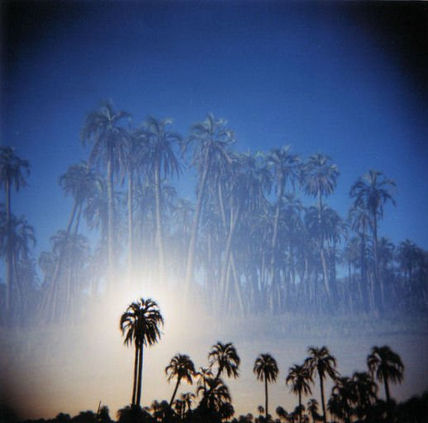 Palmeras