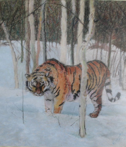 Tigre