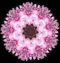 MANDALAS "serie-cuarzo"