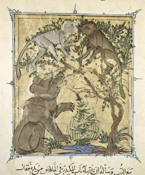 Fable Book, Scene