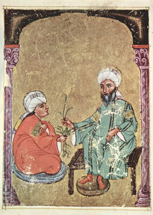 De Materia Medica (El libro de las hierbas) de Dioscórides, copia manuscrita árabe del texto griego, escena.