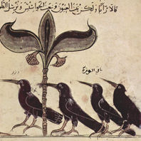 obra