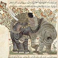 obra