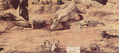 Cycle of paintings of the chapel of the Scuola di San Giorgio degli Schiavoni, scene