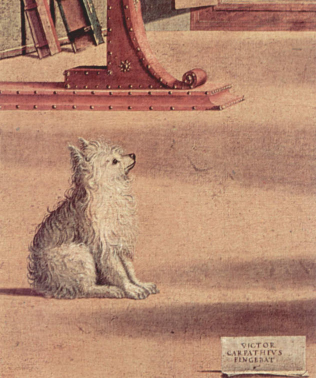 Ciclo de pinturas de la capilla de la Scuola di San Giorgio degli Schiavoni, escena