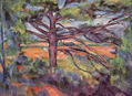 Large Pine with Red Fields