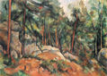 En el bosque