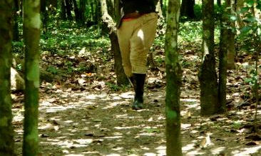 El Cacao