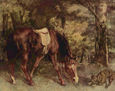 Caballo en el bosque