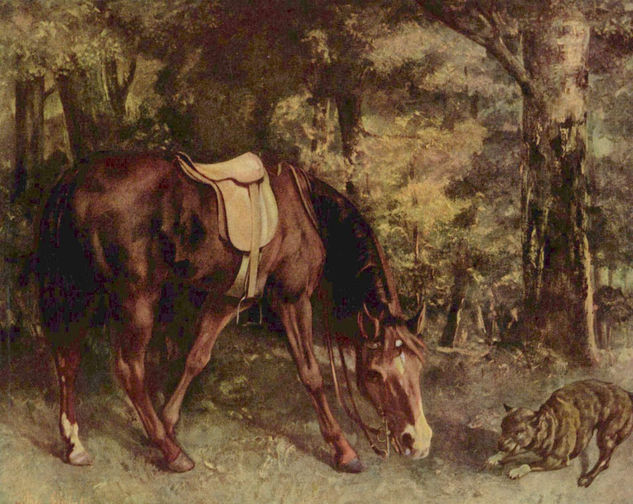 Caballo en el bosque 