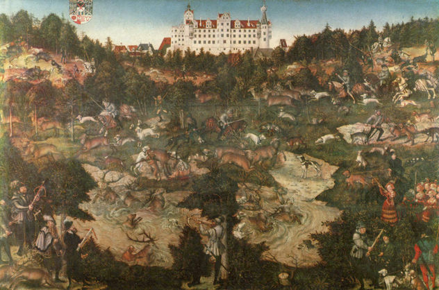 Deer and Wild Boar Hunting