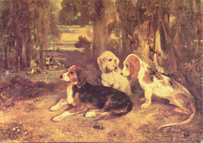 Hunting Dogs