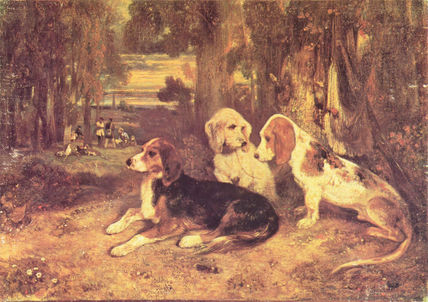 Hunting Dogs