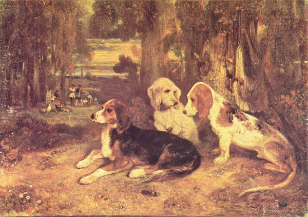 Perros de caza