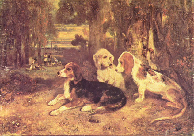 Hunting Dogs 