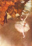 The Primaballerina