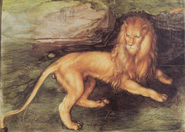 Lion 