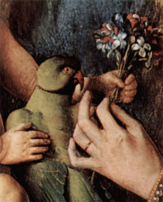 Madonna del canónigo Georg van der Paele, Detalle