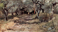 Dirt Road in the...
